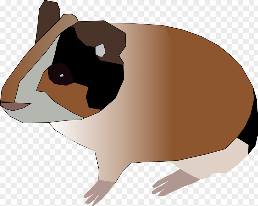 Small Hamster Guinea Pig Rodent Clip Art PNG