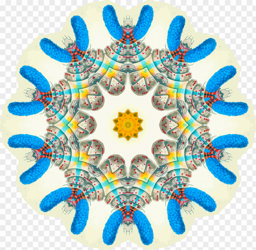Symmetry Clip Art Image Video PNG