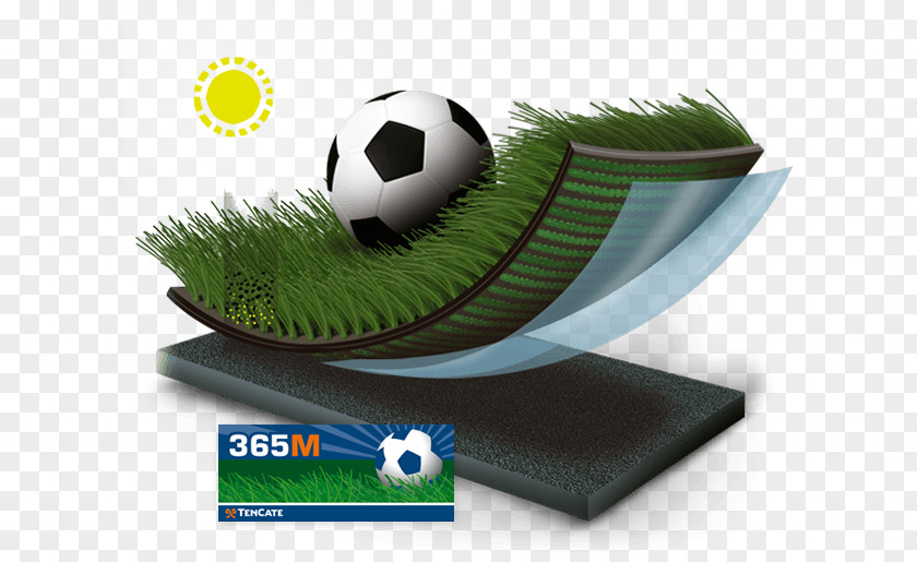 Artificial Grass Lawn Turf Koninklijke Ten Cate Nv Product Rugby PNG
