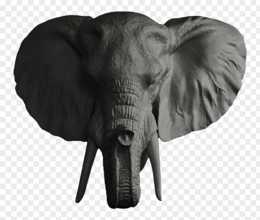 Elephant Head African Elephantidae Tusk Ganesha Bust PNG