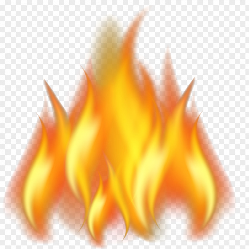Fire Vector Material Flame Euclidean PNG