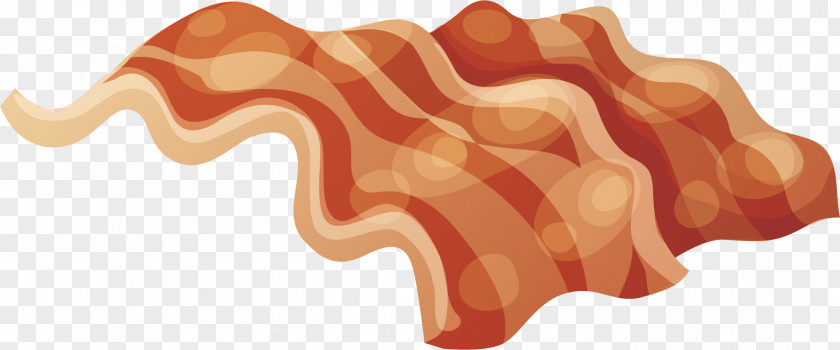 Fried Bacon Vector Chicken Meat Frying PNG