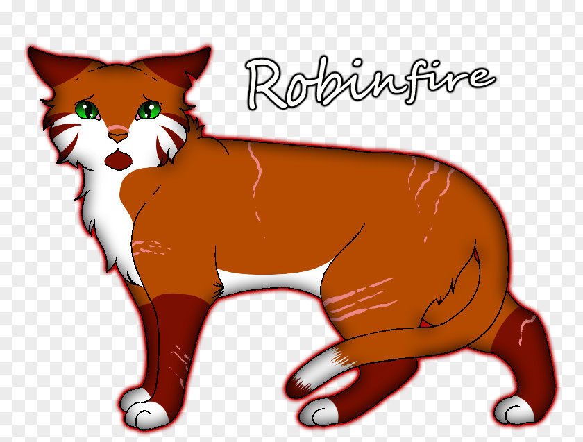 Kitten Whiskers Dog Red Fox Cat PNG
