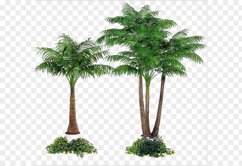 Simulation Plant Tree Areca Palm Date Arecaceae Fiberglass PNG