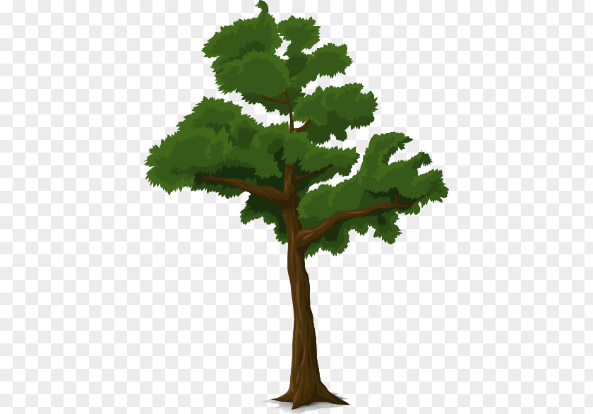 Tree Trunk Clip Art PNG