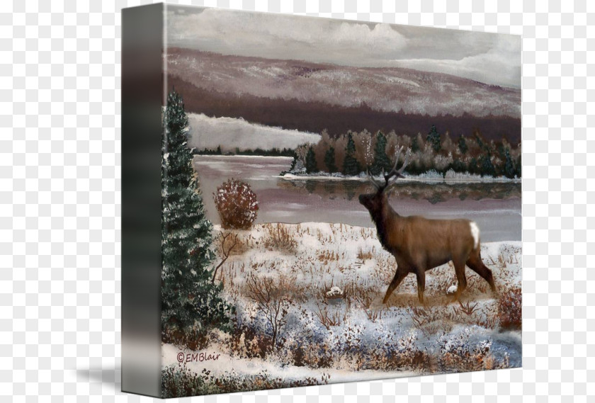 World Scenery Slatington Art Drawing Painting Elk PNG