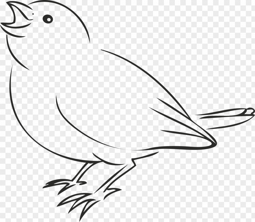 Birds Line House Sparrow Bird Drawing Clip Art PNG