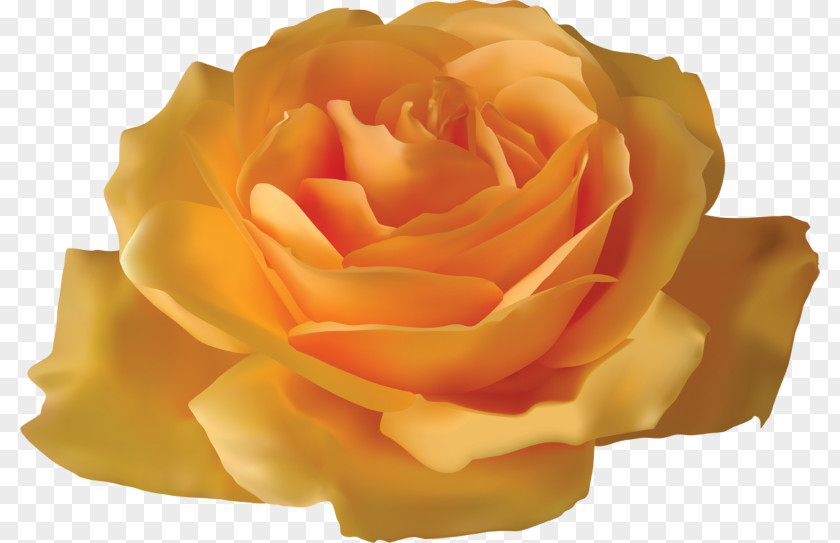 Creative Decorative Floral Design Rose Yellow Flower Clip Art PNG