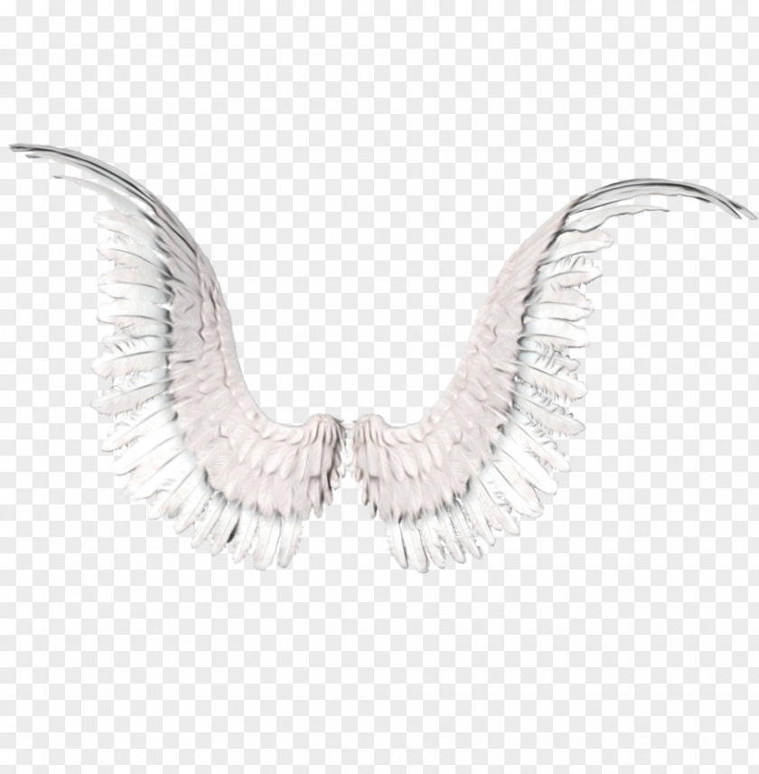 Feather Ear PNG