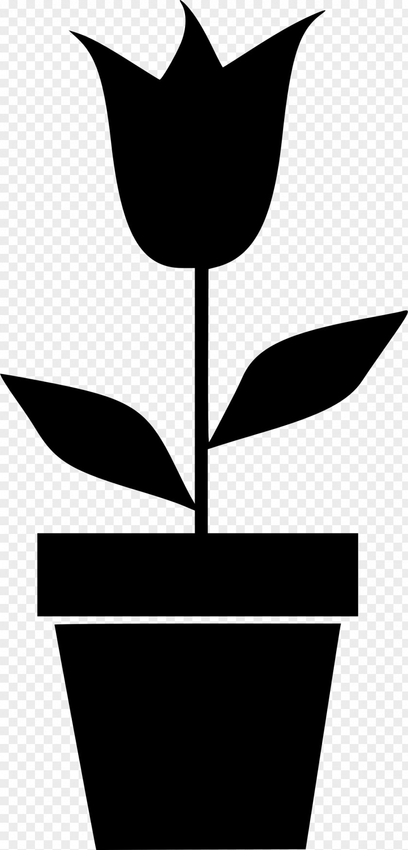 Flower Flowerpot Houseplant Clip Art PNG