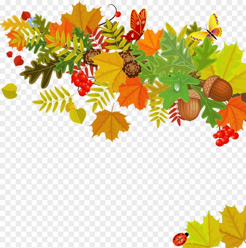 Autumn Leaves Drawing Royalty-free PNG