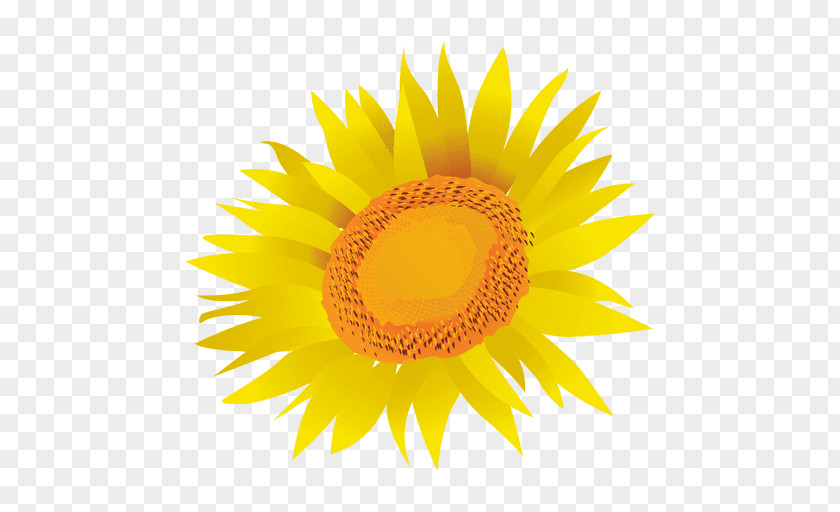 Cartoon Flower And Psd Common Sunflower Drawing Royalty-free Clip Art PNG