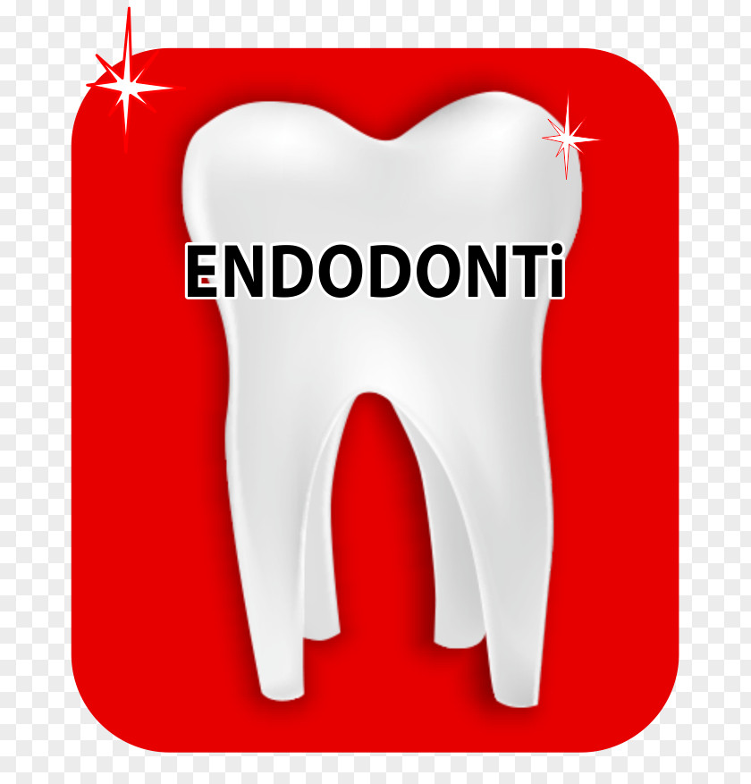 Endodontic Estetik Ağız Ve Diş Sağlığı Polikliniği Human Tooth Dentistry Aesthetics PNG