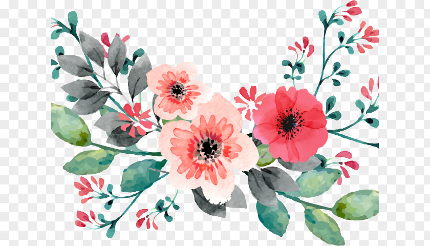 Floristry Cut Flowers Bouquet Of Drawing PNG