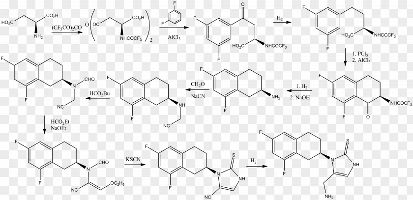 Horseradish Peroxidase Ninhydrin Chemical Compound Amine Amino Acid PNG