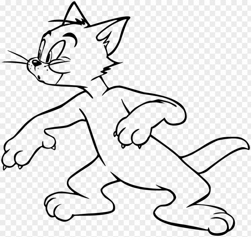 Kitten Line Art Whiskers Cartoon Drawing PNG