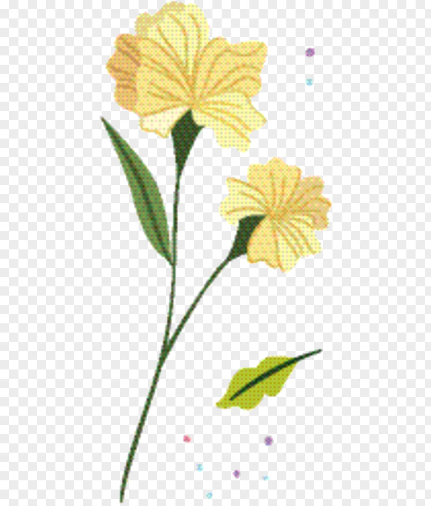 Pedicel Botany Yellow Flower PNG