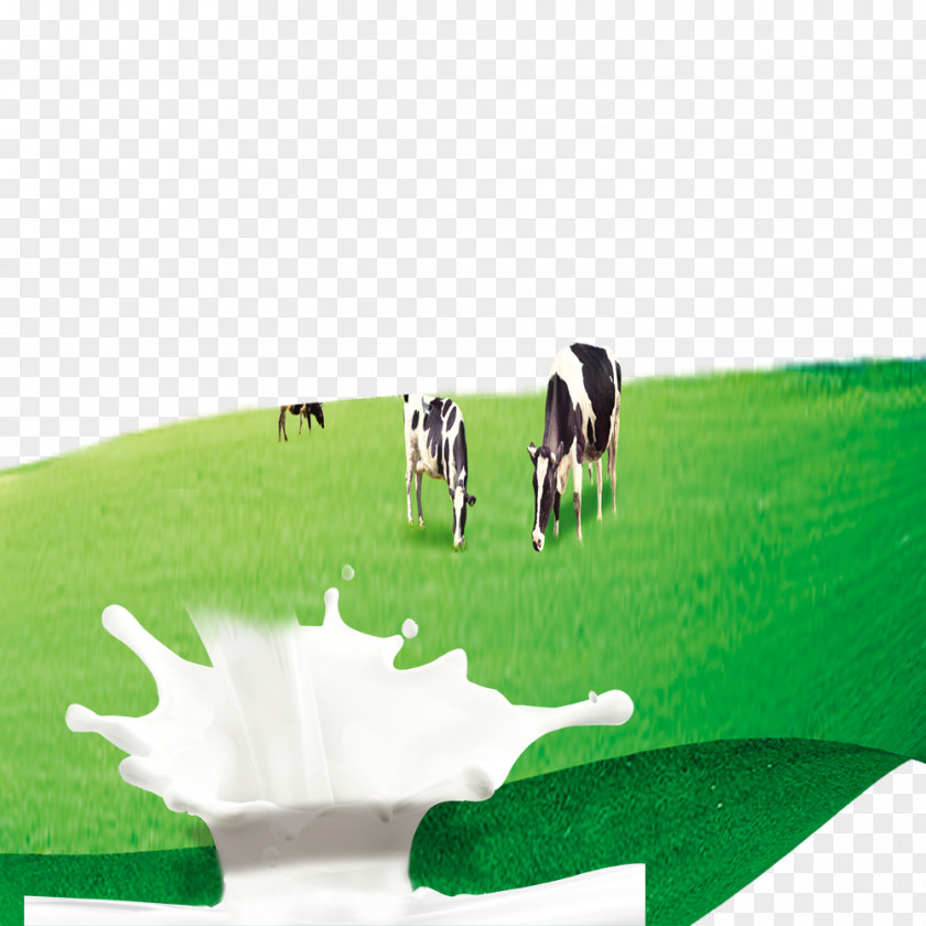 Prairie Cows Dairy Cattle Milk Cow PNG