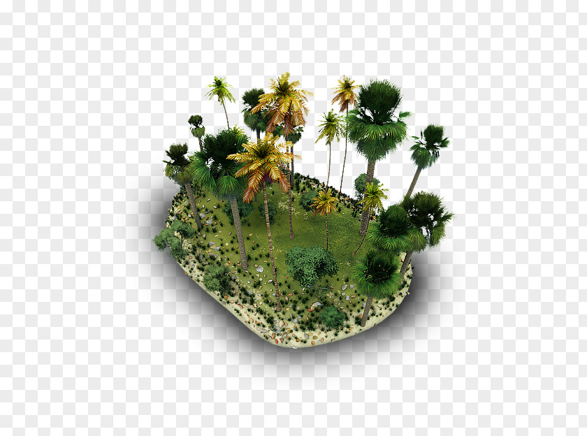 Tropical Forest ICO Kamene Ikone Download Icon PNG