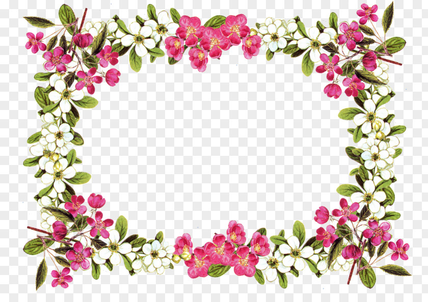 Flowers And Vines Border Vector Material Collectio Flower Clip Art PNG