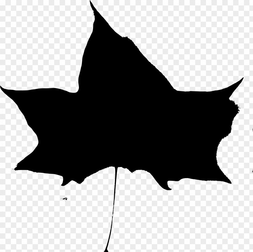 Leaf Clip Art PNG