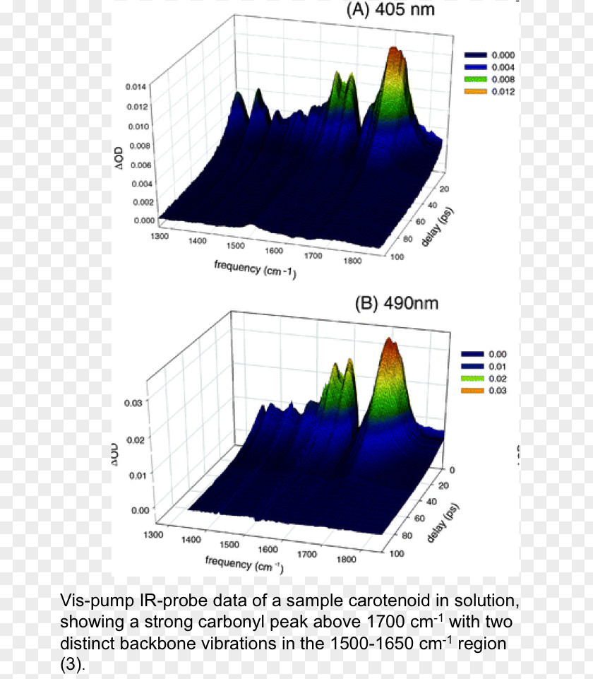 Photosynthetic Efficiency Line Angle Diagram PNG