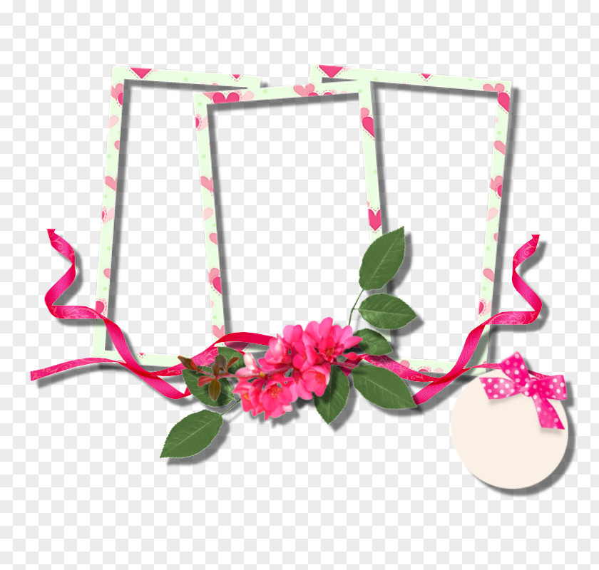 Pink Frame Floral Design PNG