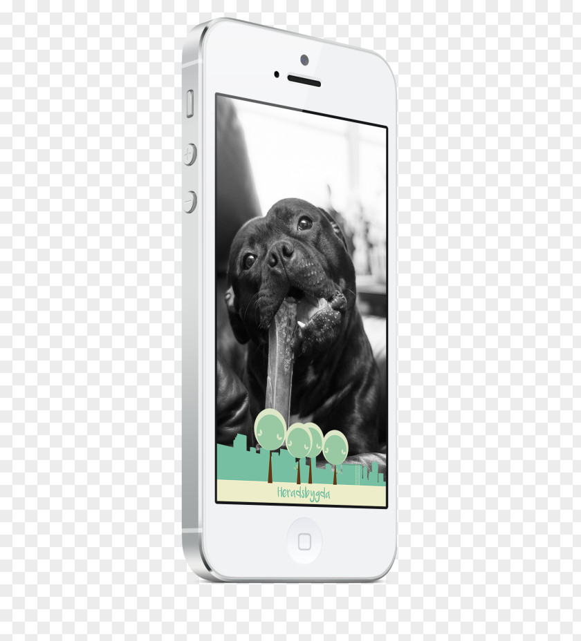 Smartphone Labrador Retriever Puppy Dog Breed Mobile Phone Accessories PNG