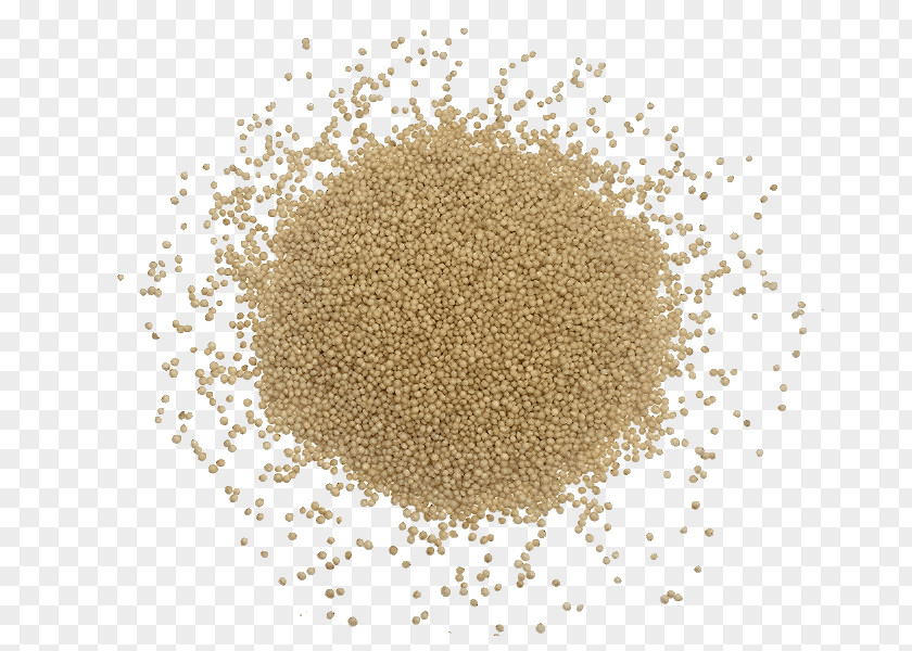 Sugar Pseudocereal Rolled Oats Semolina Khorasan Wheat PNG