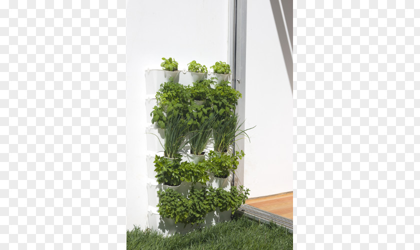 Vertical Garden Flowerpot Kitchen Houseplant Bertikal PNG