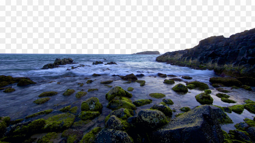 Beautiful Sea Gold Coast Beach PNG