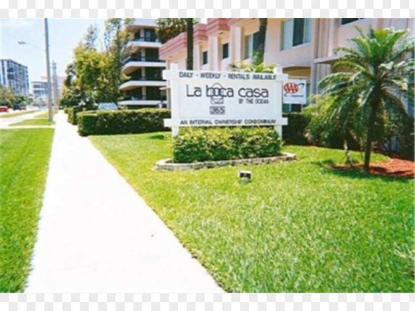 Boca Raton Resort Property Arecaceae Campus Shrub PNG
