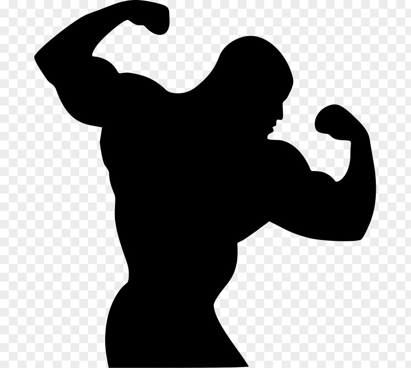 Bodybuilding Bodybuilding.com Physical Fitness Silhouette PNG