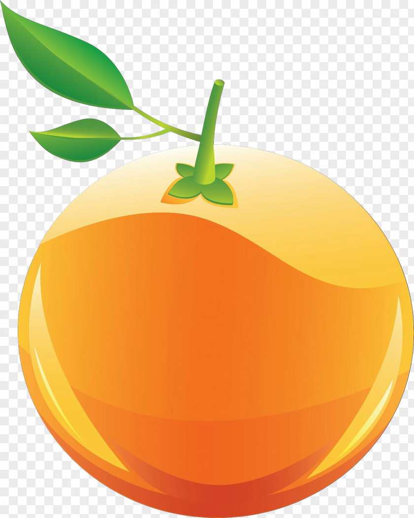 Mandarin Orange Natural Foods PNG