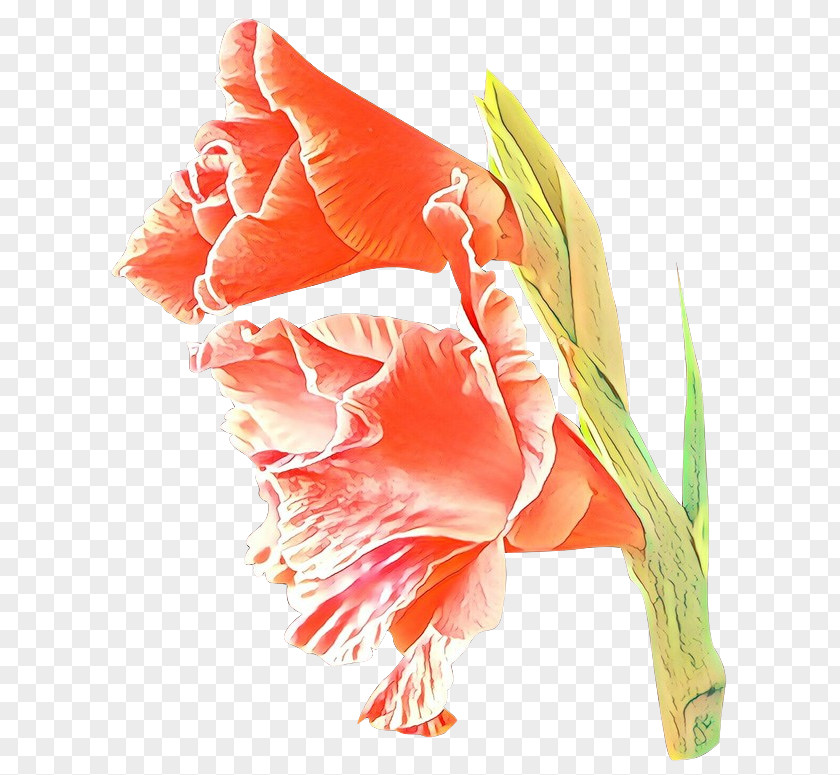 Tulip Petal Orange PNG