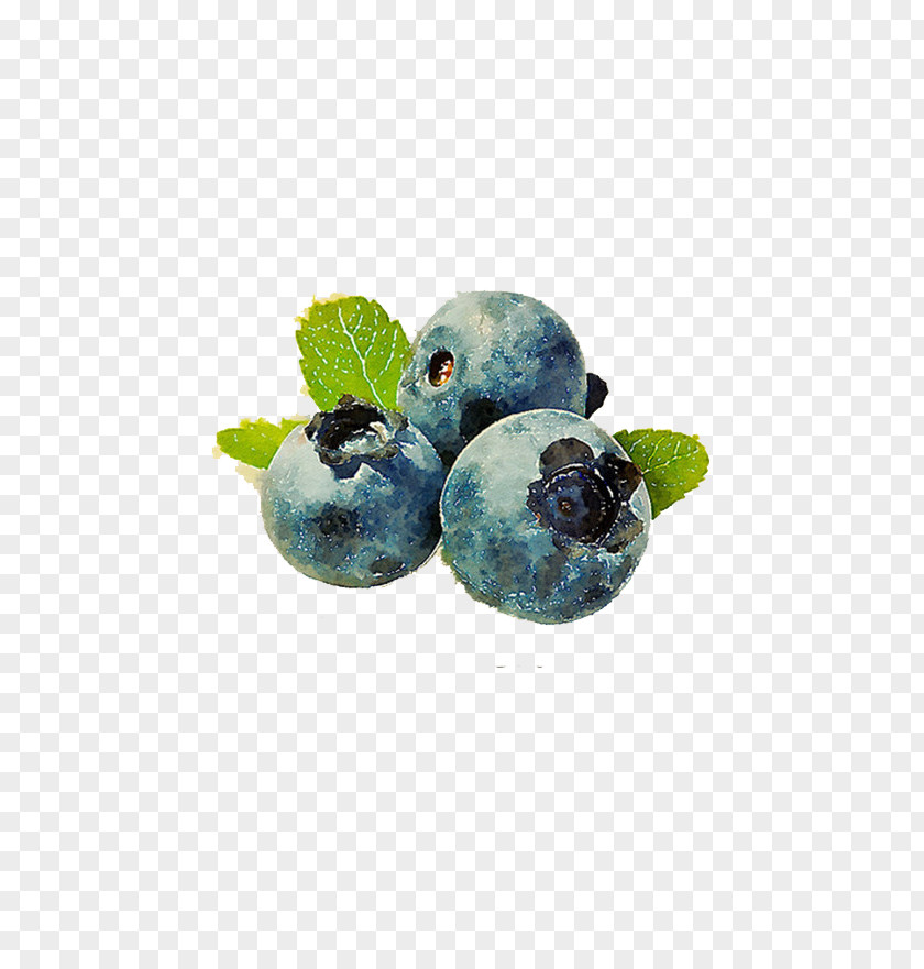 Blueberry Bilberry Fruit Muffin Vaccinium Corymbosum PNG