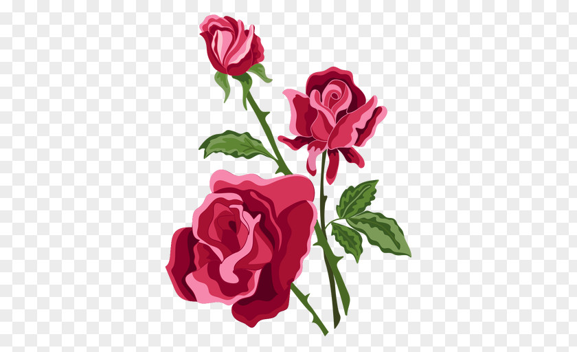 Bokeh Vector Flower Bouquet Garden Roses PNG