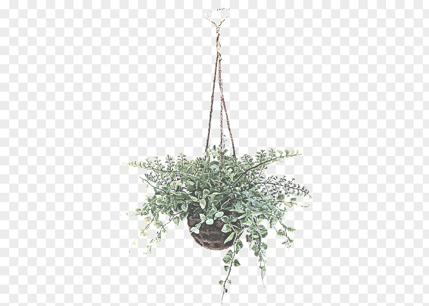Ceiling Fixture Lighting Plant Light Chandelier Leaf PNG