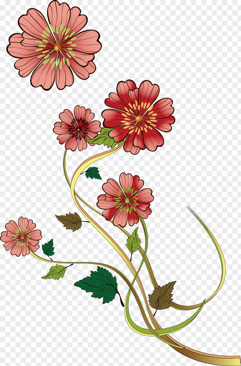 Chrysanthemum Lace Vector Floral Design Flower PNG