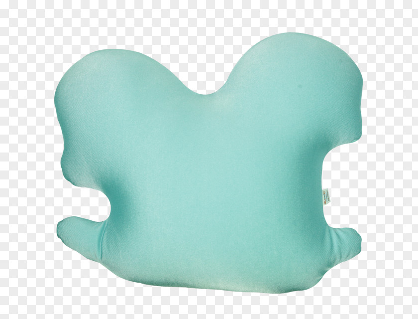 Design Product Turquoise PNG