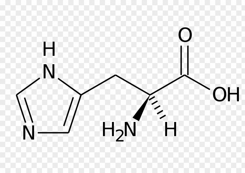 Formula Phenylalanine Histidine Skeletal Amino Acid PNG