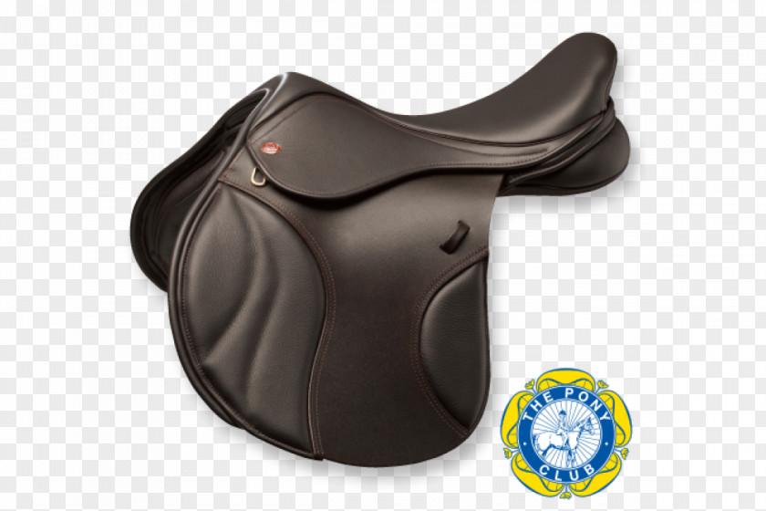 Horse Saddle Pony Club Equestrian PNG