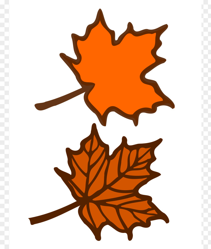 Images Of Maple Leaves Red Leaf Clip Art PNG