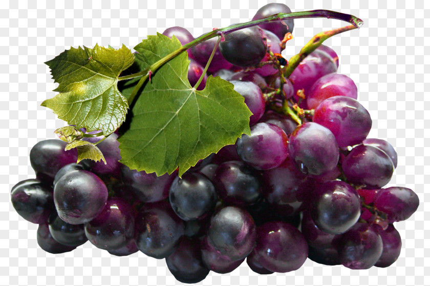 Large Black Grapes Clipart Grape Seed Extract Juice Grapefruit PNG