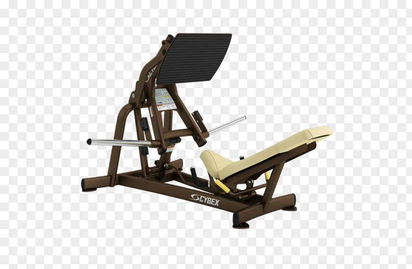 Leg Press Cybex International Squat Overhead Weight Training PNG press training, gym squats clipart PNG