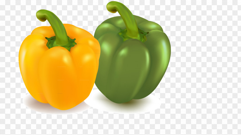 Pepper Vegetable Bell Chili Eggplant PNG