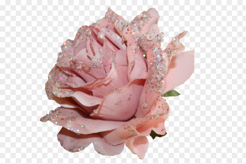 Pink Glitter Garden Roses Cut Flowers PNG