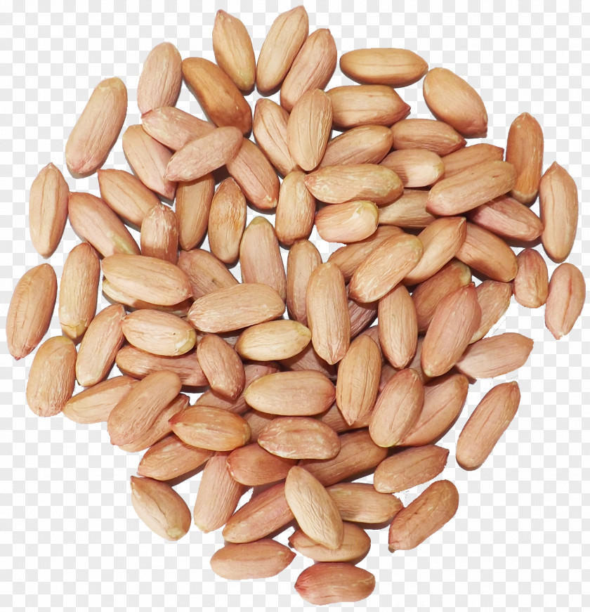 Almond Peanut Superfood Ingredient PNG