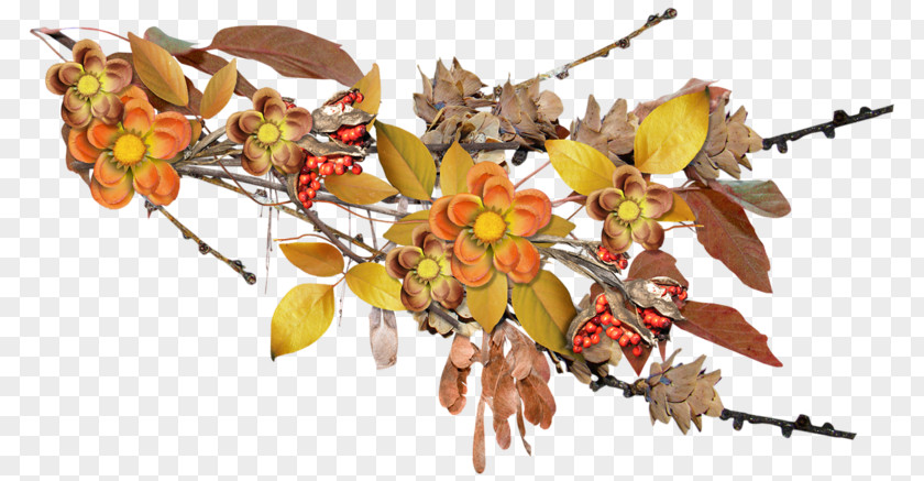 Autumn Leaf Plant Branch Season PNG