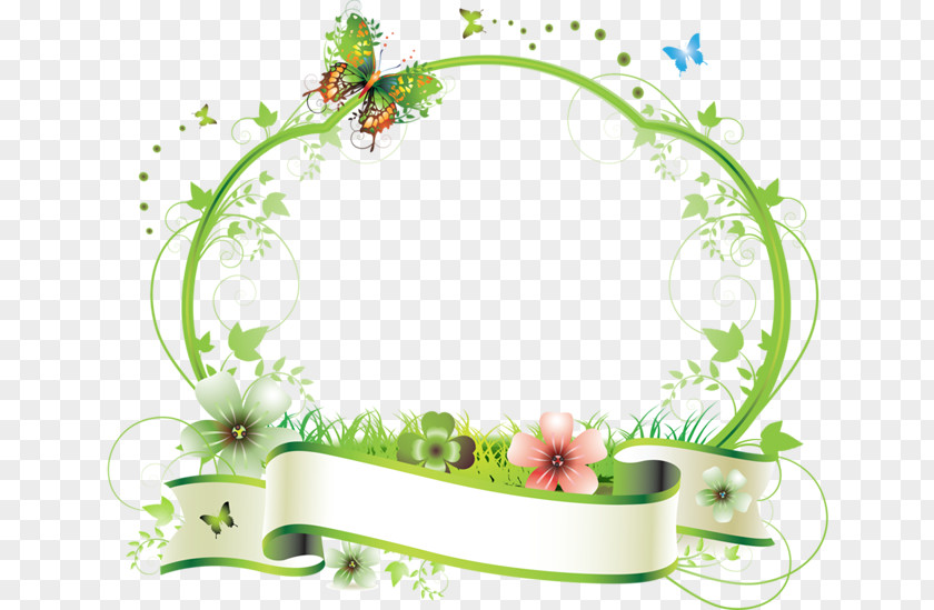 Butterfly Flower Picture Frames Clip Art PNG